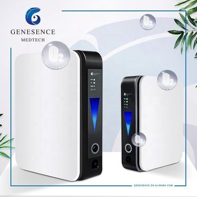 品質  For Home Use 1L Mini Flow Portable In-car Oxygen Concentrator, Home Oxygen Making Machine, Nebulizer Machine 工場